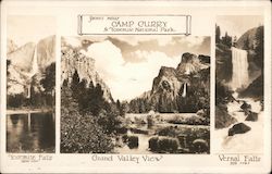 Scenes near Camp Curry in Yosemite National Park Postcard