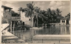 The Venetian Pool Coral Gables, FL Postcard Postcard Postcard