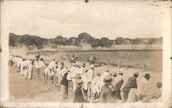 A crowd watching a horse race Postcard