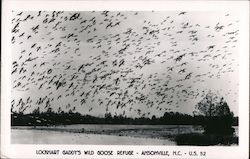 Lockhart Gaddy's Wild Goose Refuge Postcard