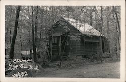 Stumps, Camp Fern Brook Postcard
