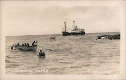 Loading Cattle Boats In Water Postcard