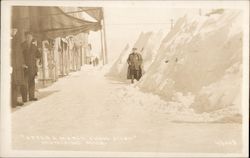 After a March Snow Storm Postcard