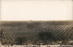 Wah-To-Ke Winery Reedley, CA Postcard Postcard Postcard