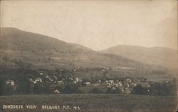 Birdseye View Postcard