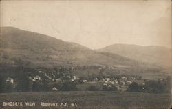 Birdseye View Roxbury, NY J.H. Dearstyne Postcard Postcard Postcard