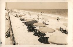 Virginia Beach Postcard Postcard Postcard