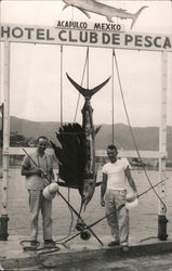 Stock #896786 Thumbnail