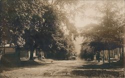 Street Scene Postcard