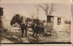 Enclosed Buggy With Two Horses Postcard