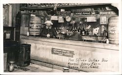 The Silver Dollar Bar Postcard