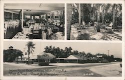 Indian Rocks Palm Gardens Postcard