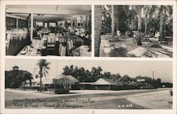 Indian Rocks Palm Gardens Indian Rocks Beach, FL Postcard Postcard Postcard