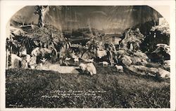 Holy Rosary Church Christmas Nativity Postcard