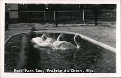 Rose Park Zoo Prairie du Chien, WI Postcard Postcard Postcard