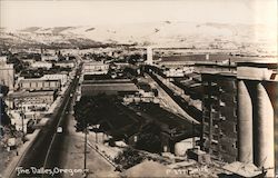 View of The Dalles Postcard