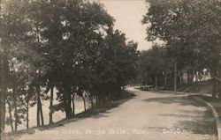 Parkway Drive Postcard