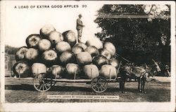 A Load Of Extra Good Apples Postcard