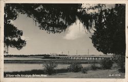 D'Iberville Bridge Postcard