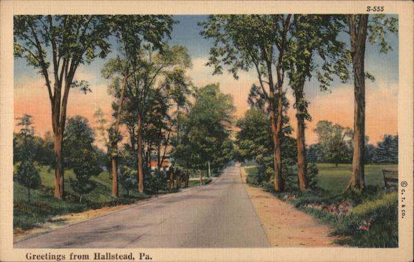 Generalized view of a tree lined road marked Greetings from Hallstead, PA Pennsylvania