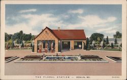 The Floral Station Sedalia, MO Postcard Postcard Postcard