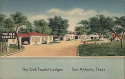 The Oak Tourist Lodges Postcard