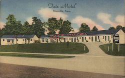 Tate Motel Knoxville, TN Postcard Postcard Postcard