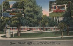 Trees Motel Clearwater, FL Postcard Postcard Postcard