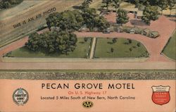 Pecan Grove Motel Postcard