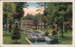 State Fish Hatchery Postcard