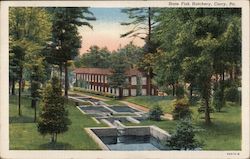 State Fish Hatchery Corry, PA Postcard Postcard Postcard