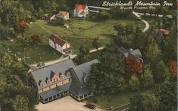 Strickland's Mountain Inn Mount Pocono, PA Postcard Postcard Postcard