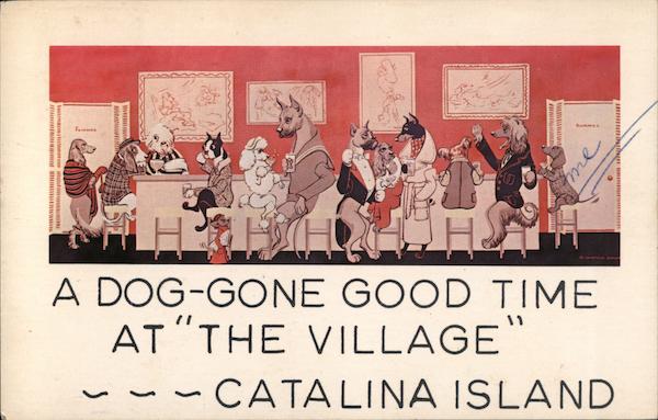 A Dog-Gone Good Time at The Village - Catalina Island Avalon California