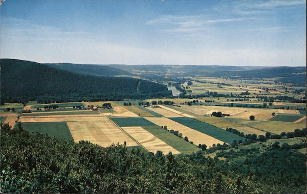 Harris Hill New York