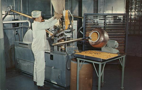 Lederle Laboratories, American Cyanamid Co Pearl River New York