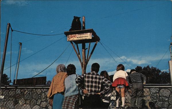 Clark's Trading Post North Woodstock New Hampshire