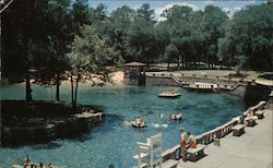 Radium Springs Postcard