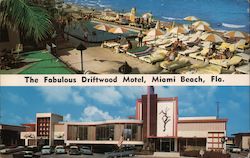 The Fabulous Driftwood Motel Postcard