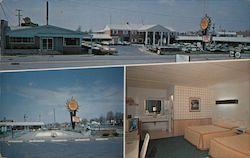 Quality Courts Cardinal Motel Postcard