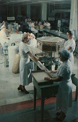 American Cyanamid Lederle Laboratories Postcard