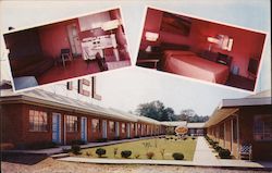 Siesta Motel Postcard