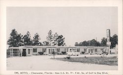 Owl Motel Postcard