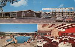 George Washington Motor Lodge Postcard