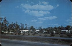 Homestead Cottage Court Postcard