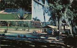 Cactus Motel Postcard