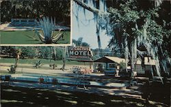 Cactus Motel Tallahassee, FL Postcard Postcard Postcard