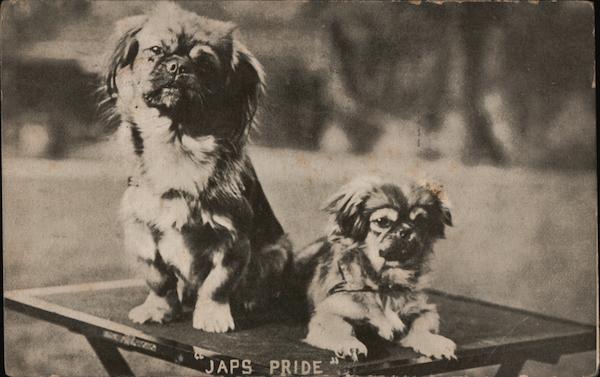 Japs Pride Dogs