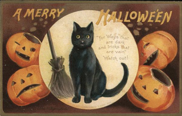 A Merry Hallowe'en - black cat with pumpkins Halloween