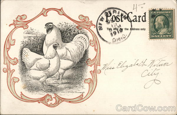 A rooster and hen illustration A. A. Swope New Berlin North Canton Ohio