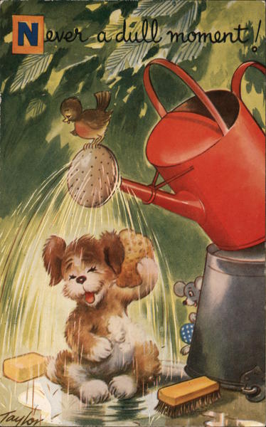 Never a dull moment! Puppy dog bathes in watering-can shower